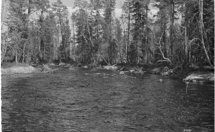 Ontajoki – Ontojoki