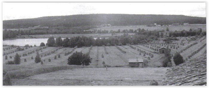 Sotkamon Juholankylän asutushistoriaa