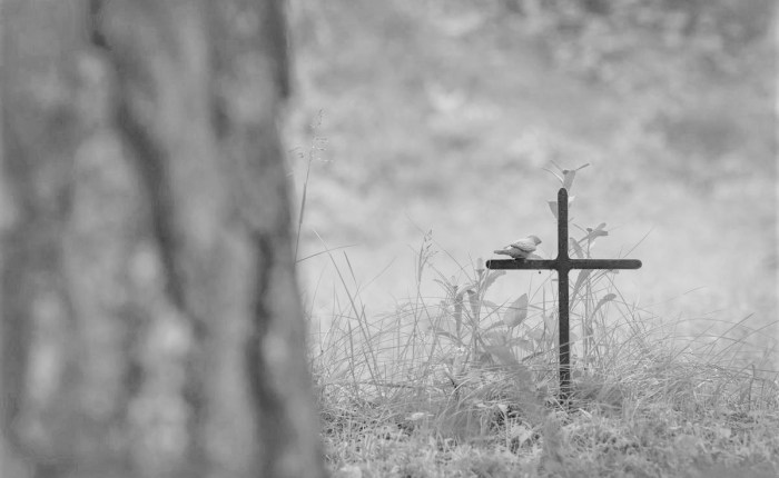 Kuolinsyyt sukututkimuksessa