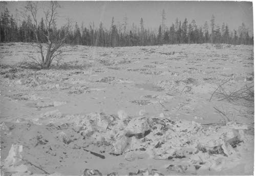 Löytövaaran pellot