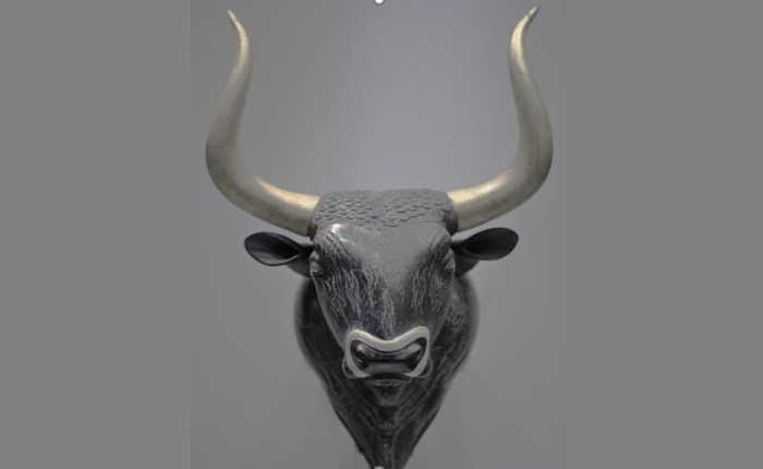 Otanpa Härkää sarvista – Lukkari-suvun salaperäinen&nbsp;alkuperä