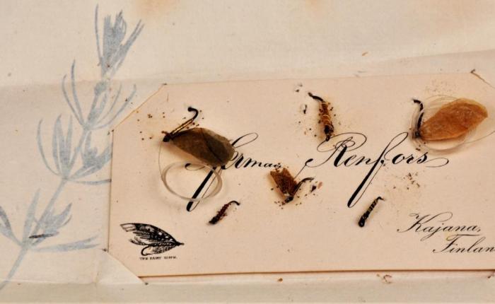 Herman August Renfors – Kajaanista&nbsp;kuuluisuuteen